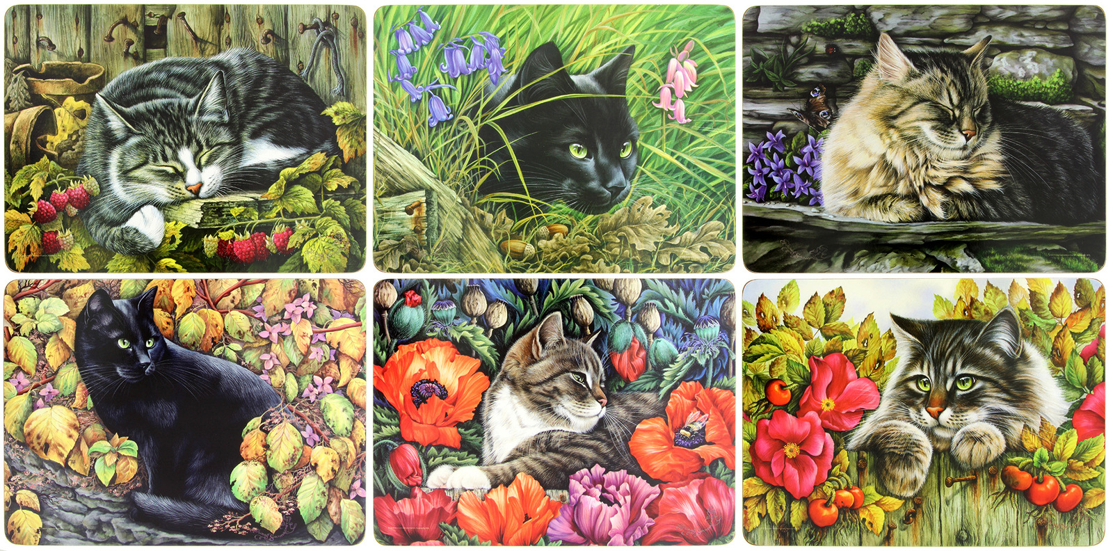 Cats Placemats (Set of 6) at Mighty Ape NZ