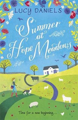 Summer at Hope Meadows by Lucy Daniels image