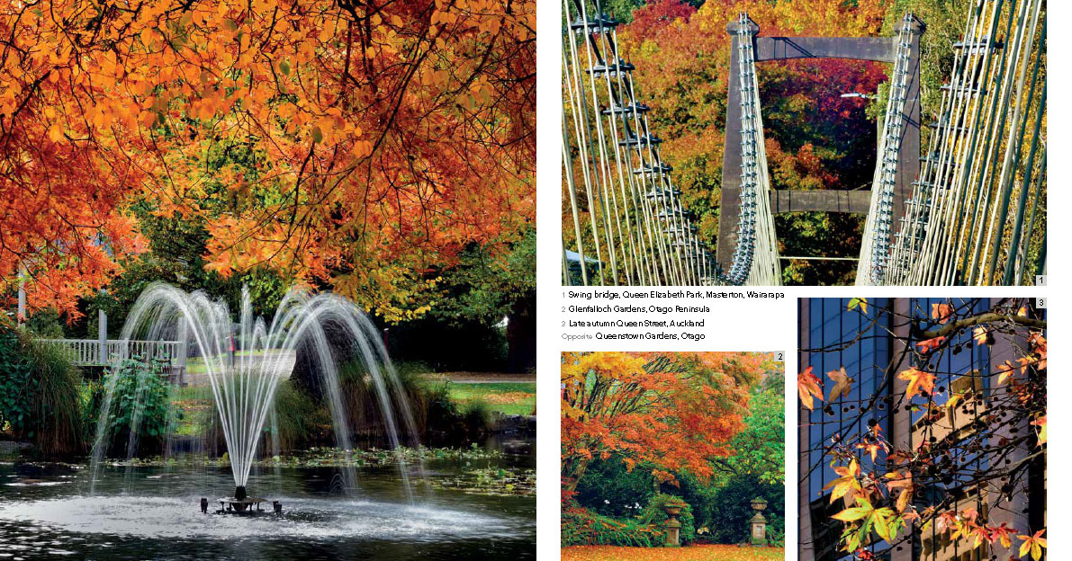 Our Vibrant Country Seasons Of New Zealand by Bob McCree image