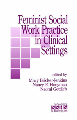 Feminist Social Work Practice in Clinical Settings image