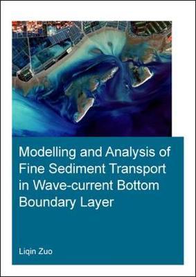 Modelling and Analysis of Fine Sediment Transport in Wave-Current Bottom Boundary Layer by Liqin Zuo image