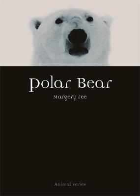 Polar Bear by Margery Fee image