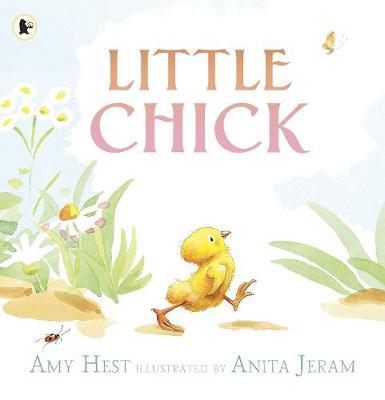 Little Chick by Amy Hest image