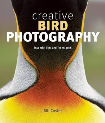 Creative Bird Photography by Bill Coster image