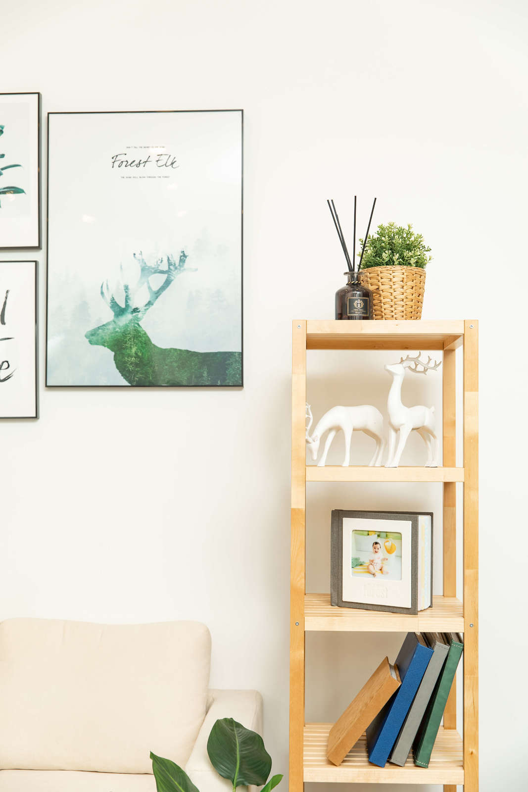 Buy 5Tier Solid Birch Wood Shelf Unit at Mighty Ape NZ