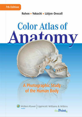 Color Atlas of Anatomy: A Photographic Study of the Human Body on Hardback by Johannes W Rohen