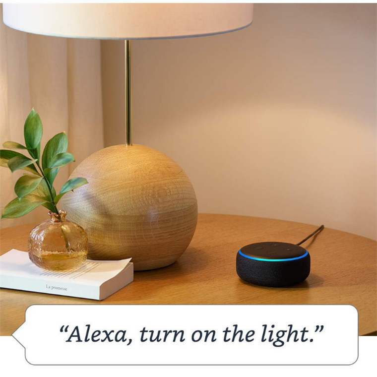 AMAZON Echo Dot - Smart speaker with Alexa - Charcoal image