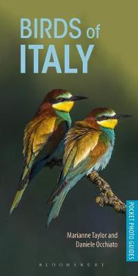 Birds of Italy by Marianne Taylor image