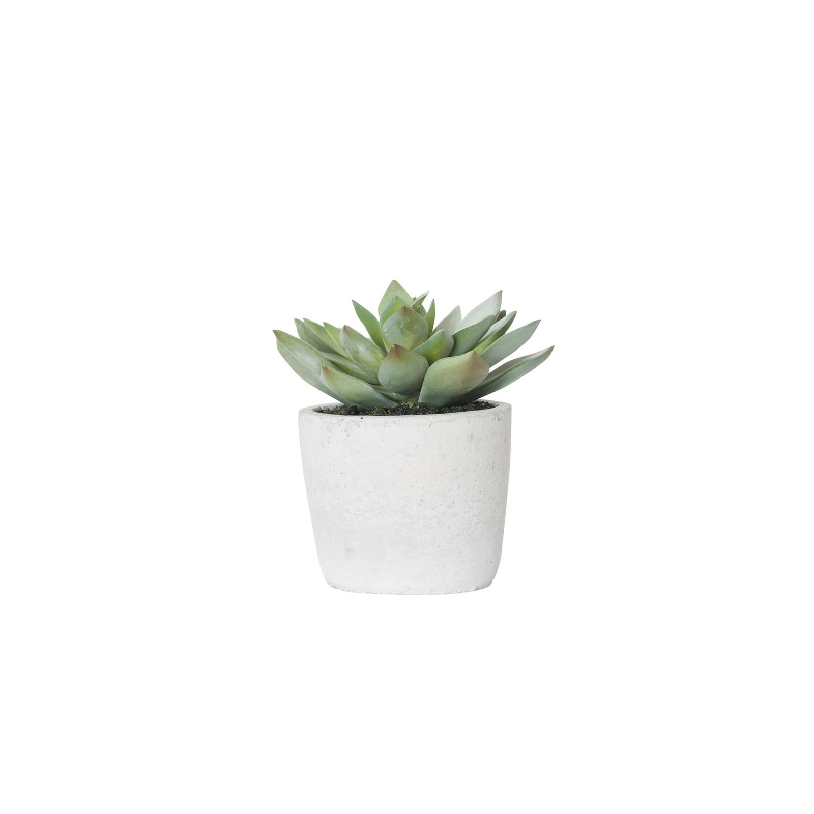 General Eclectic Artificial Plant - Small Echeveria image