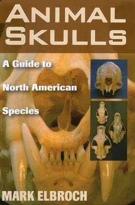Animal Skulls by Lawrence Mark Elbroch image