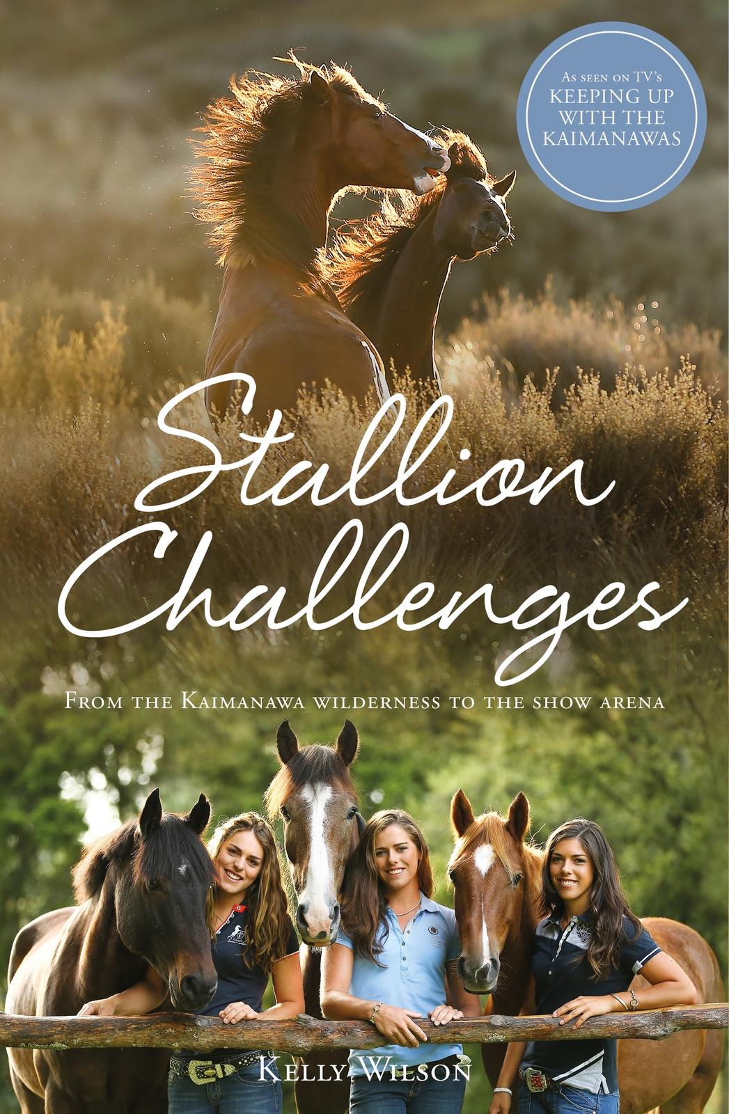 Stallion Challenges by Kelly Wilson image