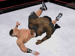 WWE Smackdown! vs. RAW 2008 on DS