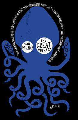 The Great Perhaps on Hardback by Joe Meno