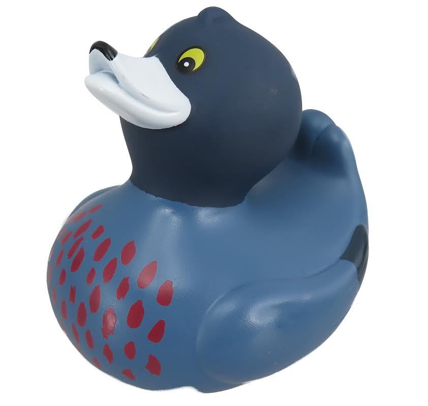 Bath Duck - NZ Blue Whio image