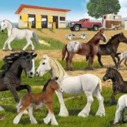 schleich horses nz
