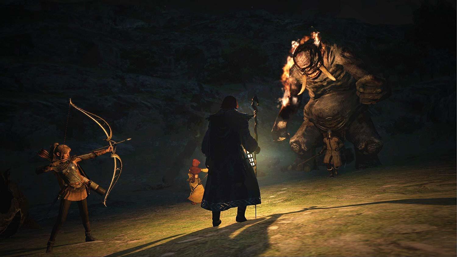 Dragon's Dogma: Dark Arisen for Switch image
