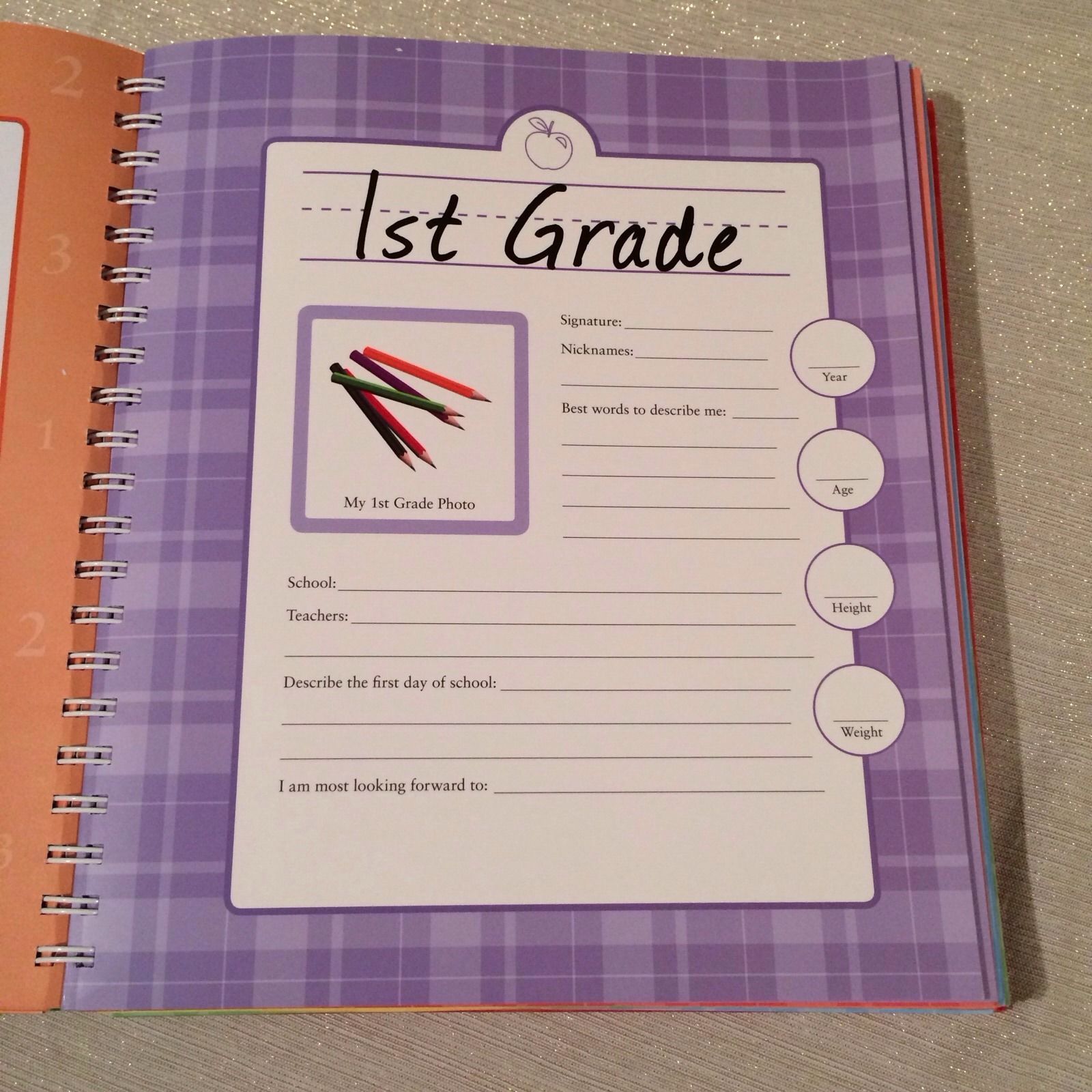 My School Years Journal & Keepsake Alex A Lluch Book Buy Now at Mighty Ape NZ