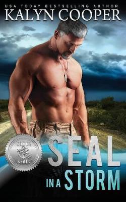 SEAL in a Storm by Kalyn Cooper image