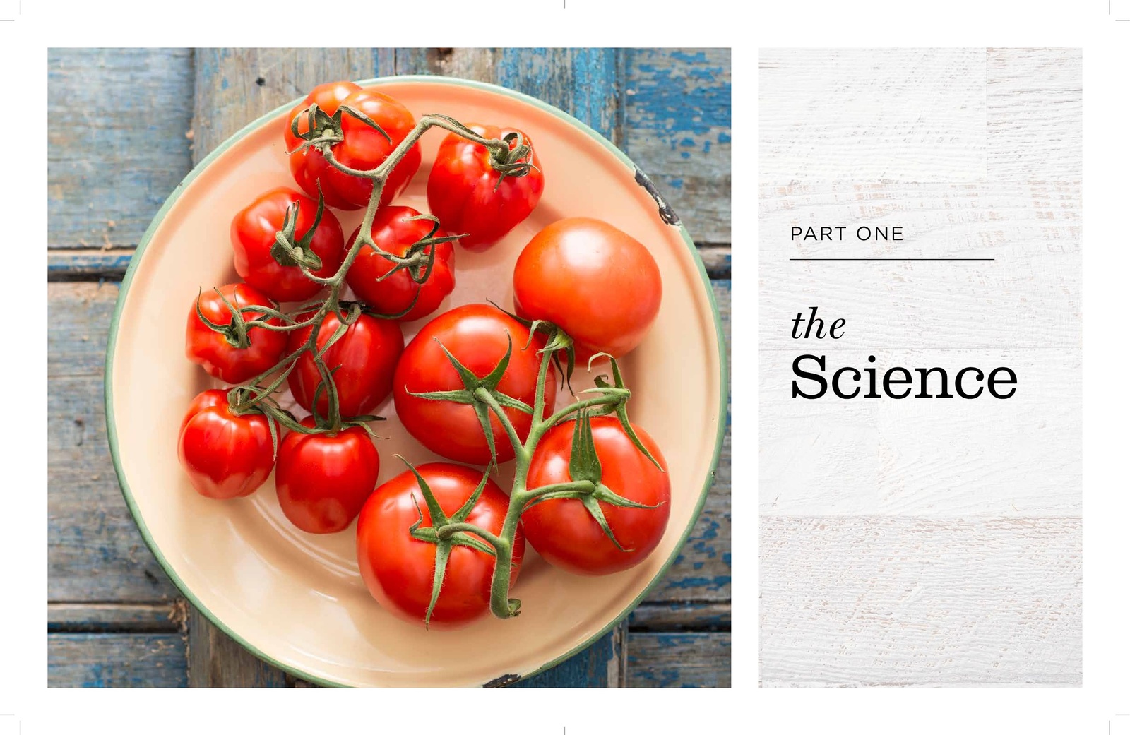 Better Brain Food by Ngaire Hobbins image