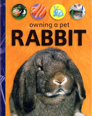 Rabbit by David Glover image