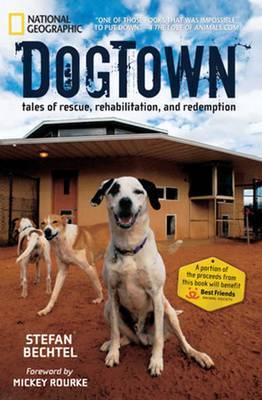 DogTown on Hardback by Stefan Bechtel