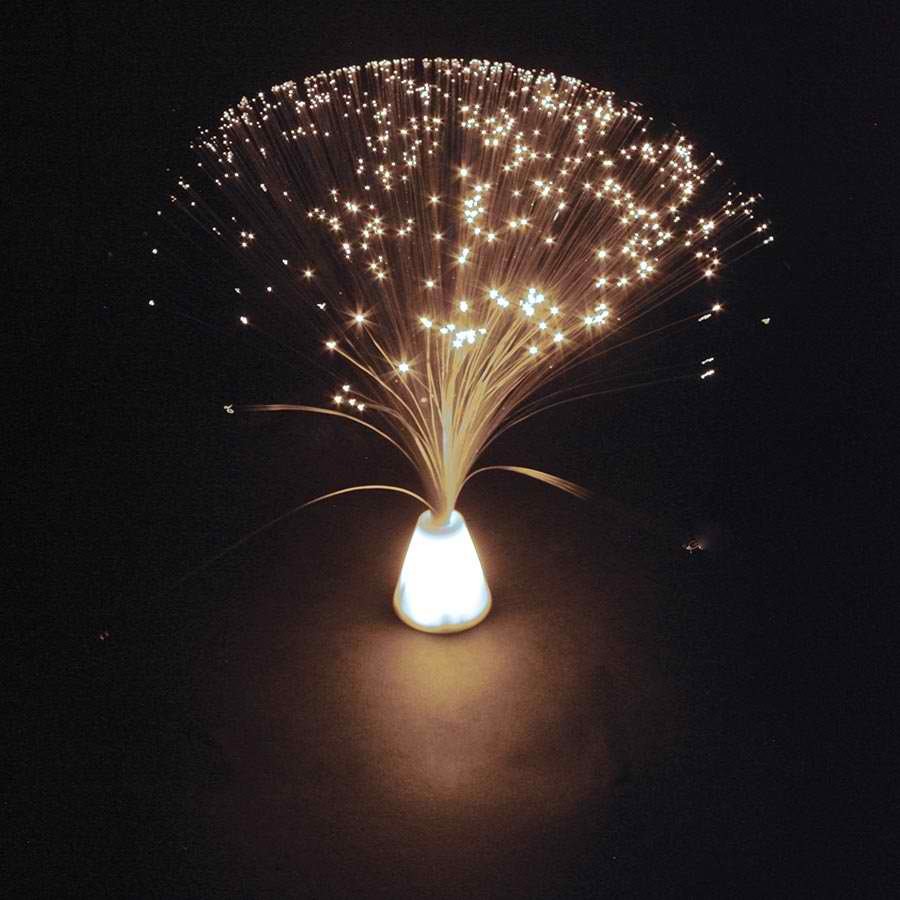 Fibre Optic Lamp