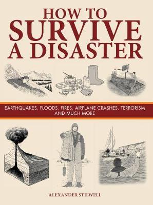 How to Survive a Disaster by Alexander Stilwell image