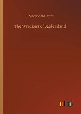 The Wreckers of Sable Island by J MacDonald Oxley image