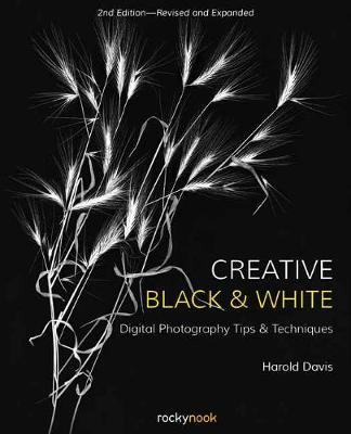 Creative Black and White by Harold Davis image