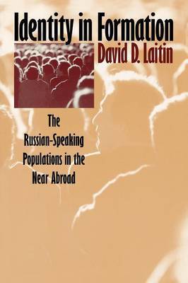 Identity in Formation by David D. Laitin image