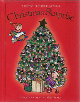 Christmas Surprise on Hardback by Jonathan Reed