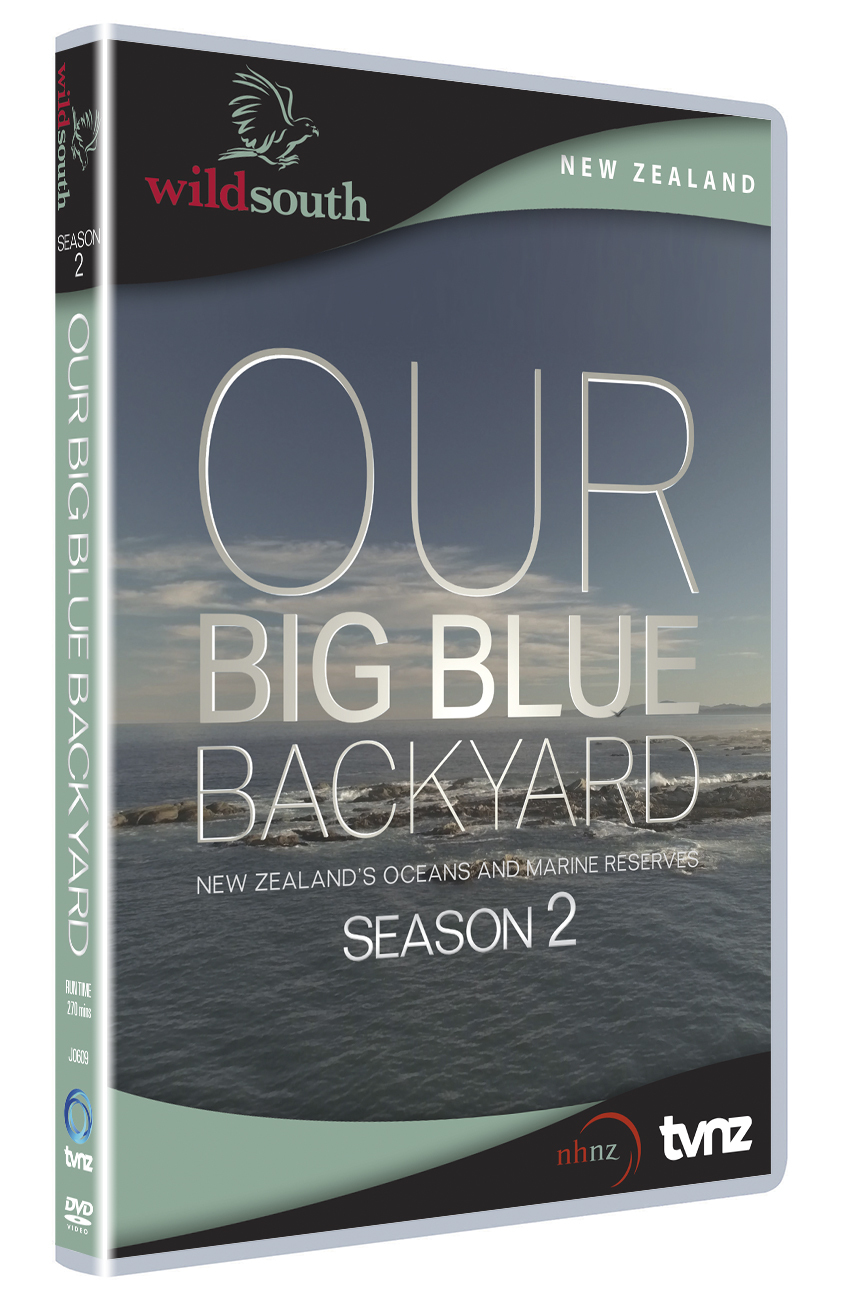 Our Big Blue Backyard - Season 2 on DVD image
