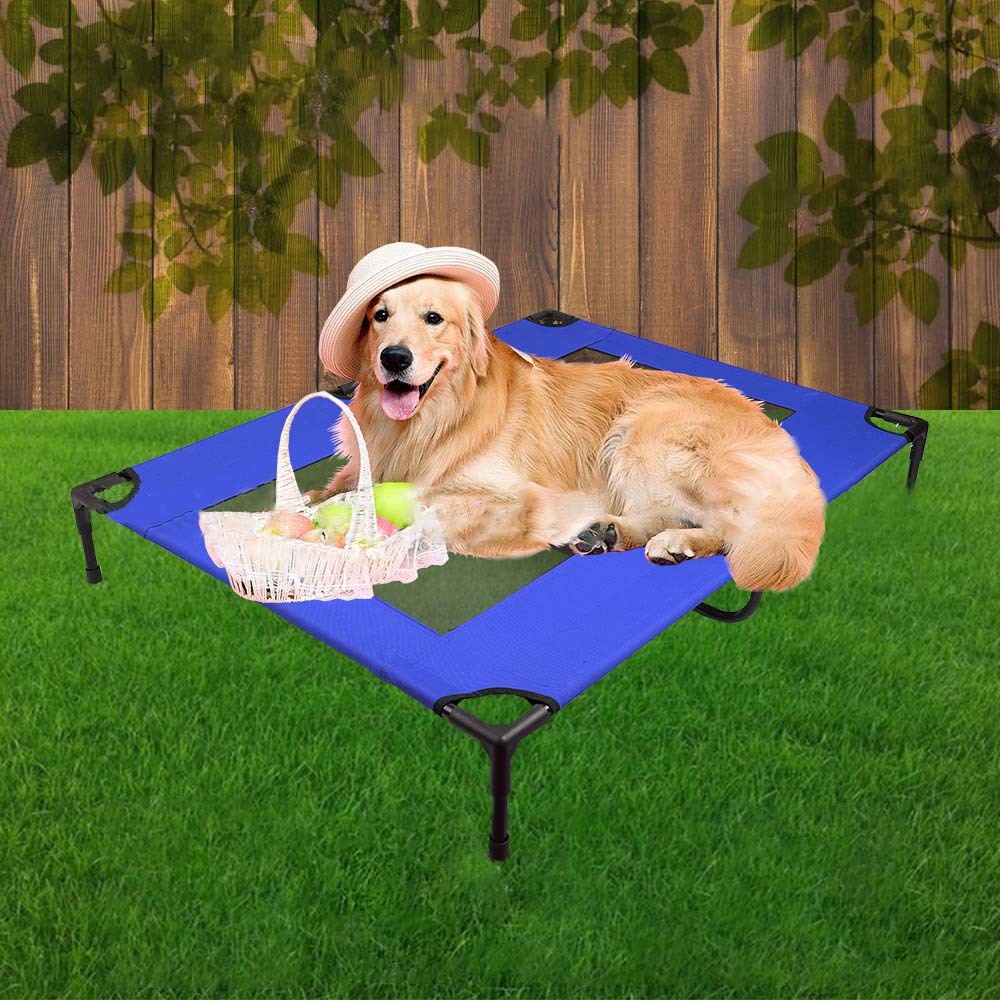 Buy Ape Basics Elevated Foldable Portable Pet Dog Bed Large at