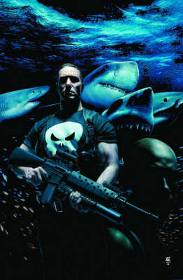 Punisher Max Vol.3 image