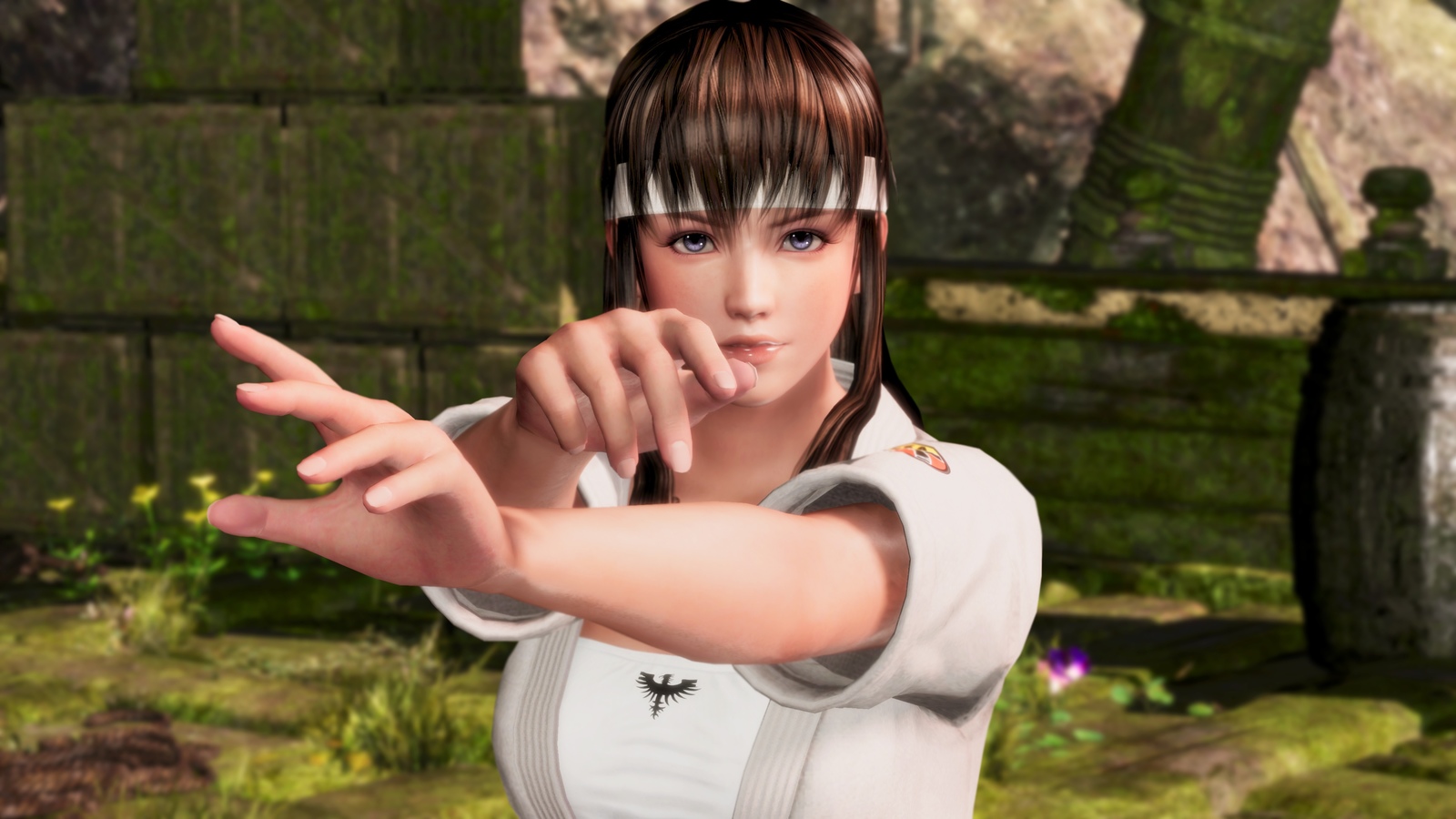 Dead or Alive 6 for PS4 image
