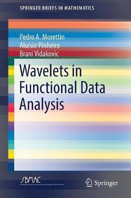 Wavelets in Functional Data Analysis by Pedro A. Morettin image