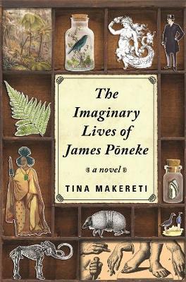 Imaginary Lives of James Poneke, The by Tina Makereti image