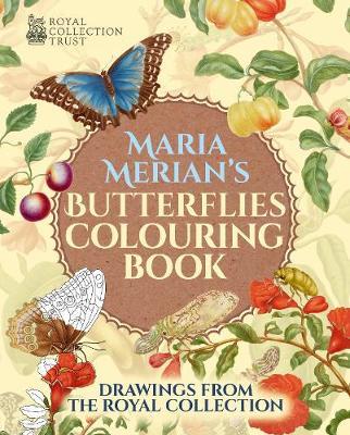 Maria Merian's Butterflies Colouring Book image