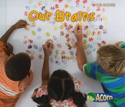 Our Brains by Charlotte Guillain image