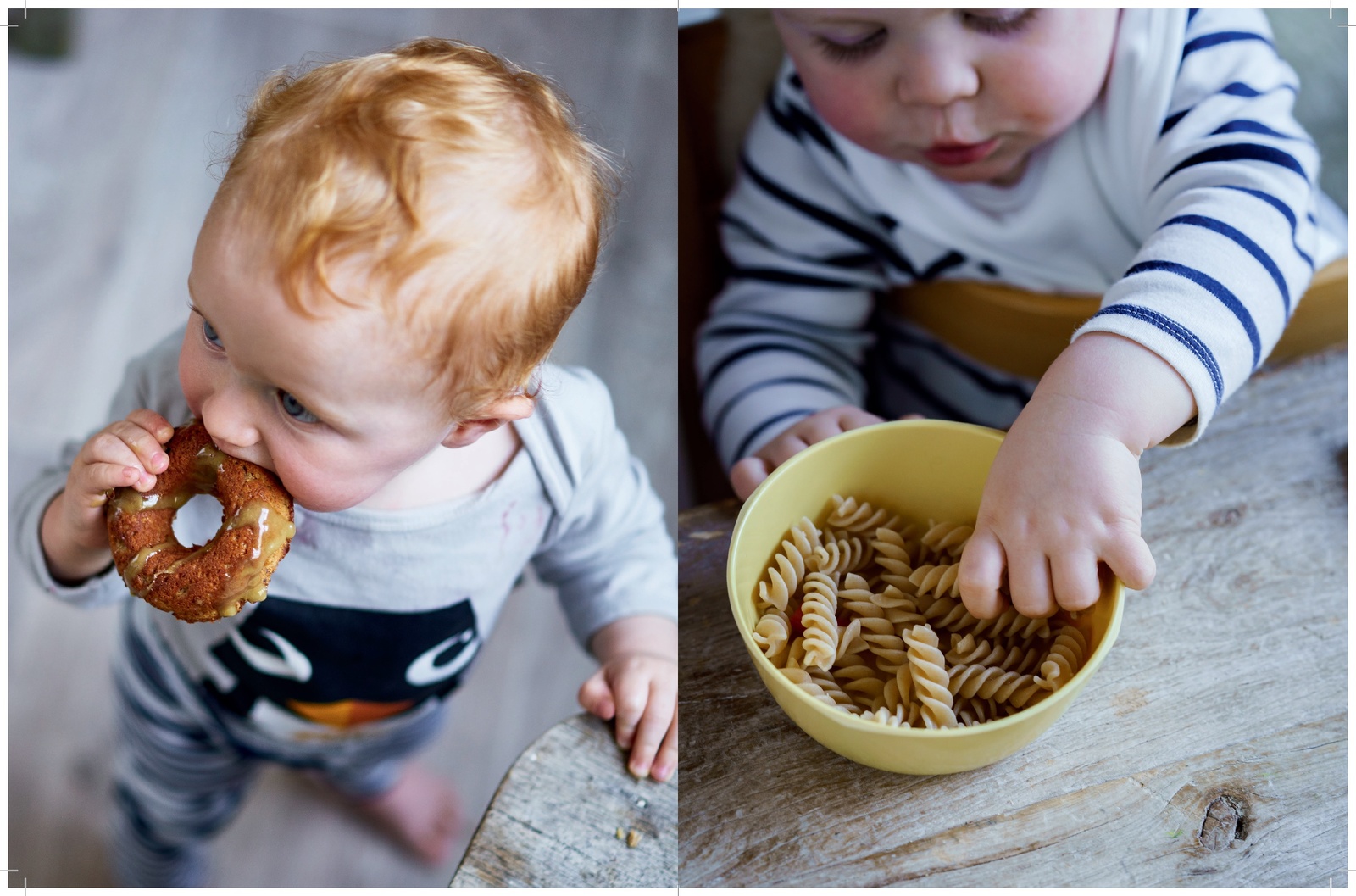 Real Food for Babies and Toddlers by Vanessa Clarkson image