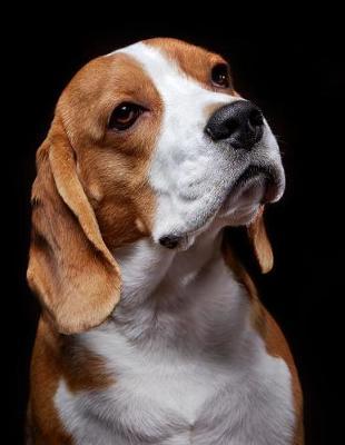 Beagle Notebook by Notebooks Journals Xlpress image