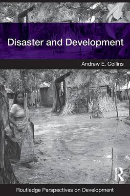 Disaster and Development by Andrew E Collins image