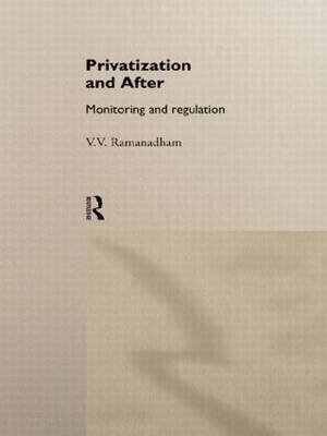 Privatization and After image