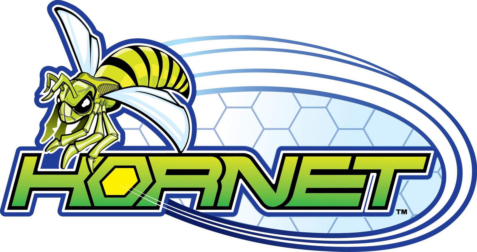 Duncan: Hornet Pro Looping Yo-Yo - Assorted Colours image