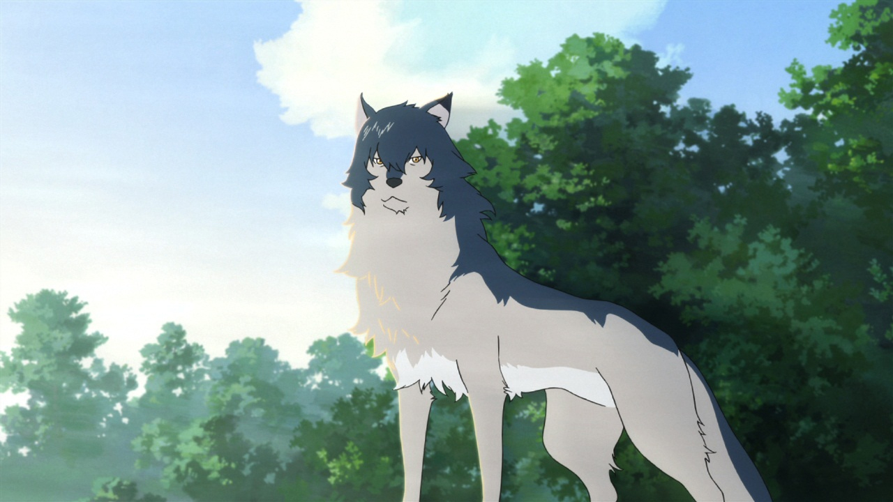 Wolf Children - Special Edition on DVD