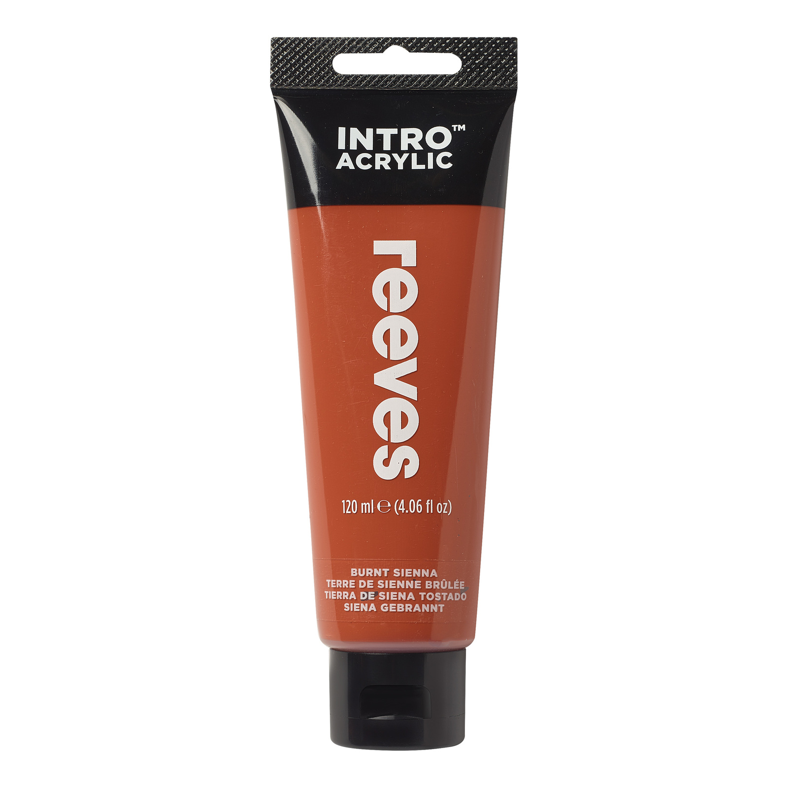 Reeves Intro Acrylic - Burnt Sienna (120ml)