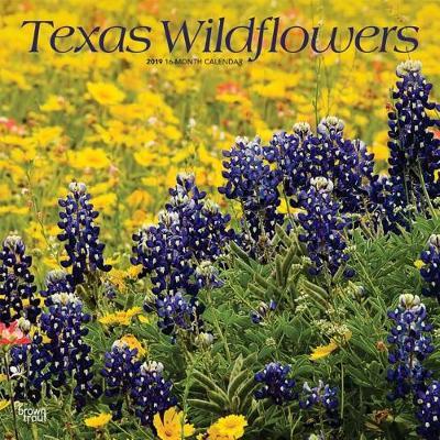 Texas Wildflowers 2019 Square by Inc Browntrout Publishers image