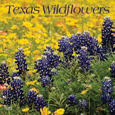 Texas Wildflowers 2019 Square image