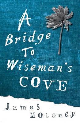 A Bridge to Wiseman's Cove by James Moloney image