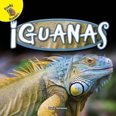 Iguanas by Darla Duhaime image